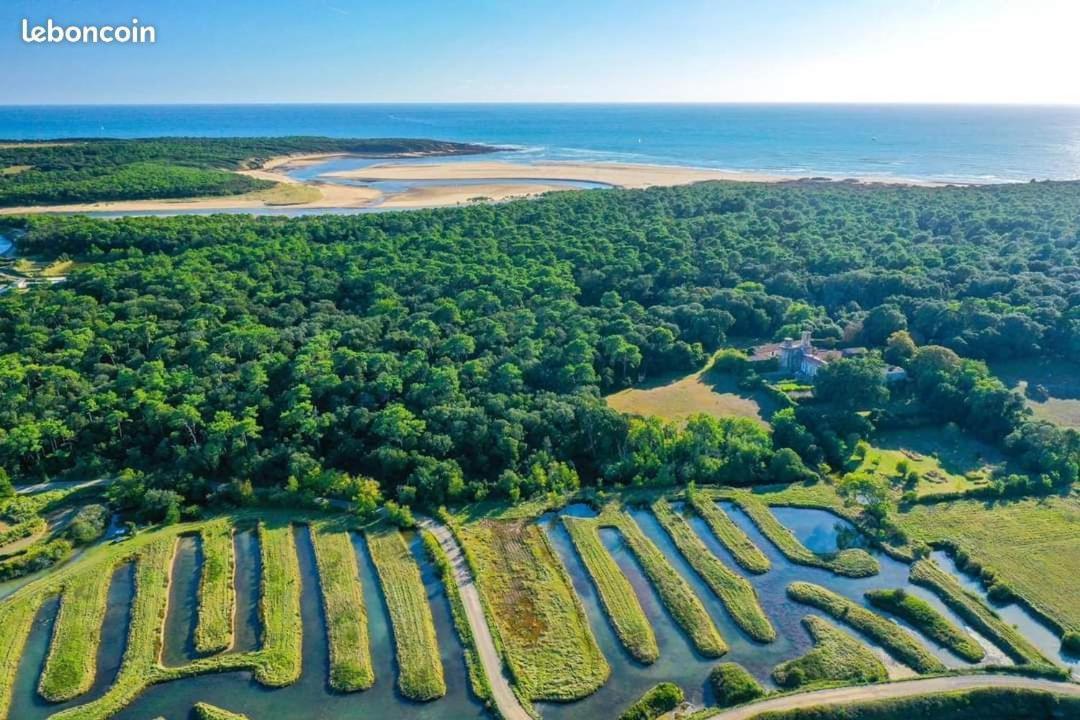 Charmant T2 Au Coeur Du Golf De Port Bourgenay Talmont-Saint-Hilaire Exterior foto